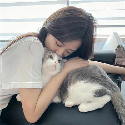 法网追击